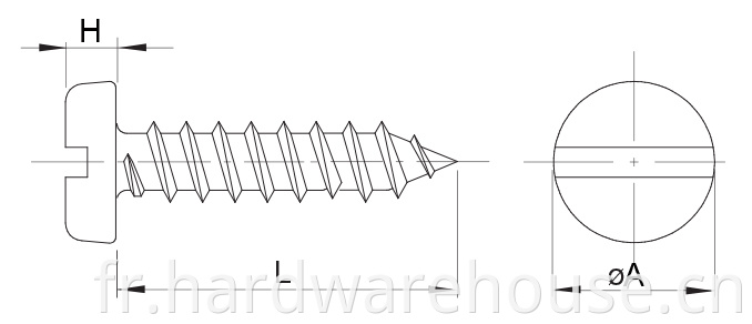 Drawing Self Tapping Screw Slotted Drive D7971